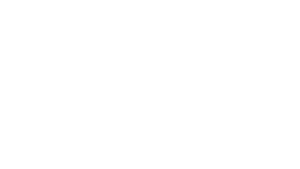 Logo proIO